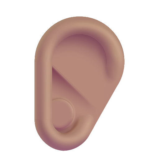 Oreille: Peau Moyenne