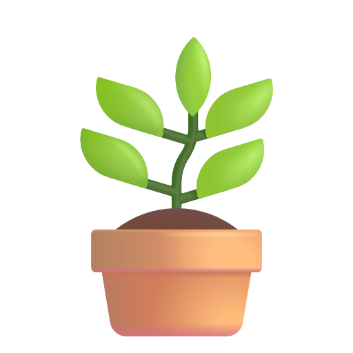 Plante En Pot Plante En Pot