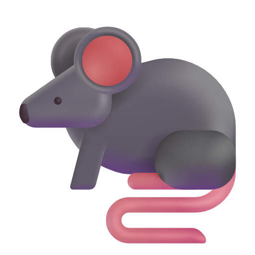 Rat