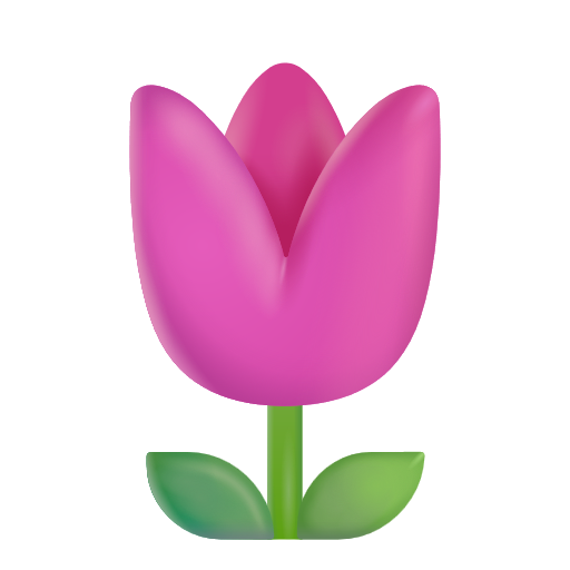 Tulipe Tulipe