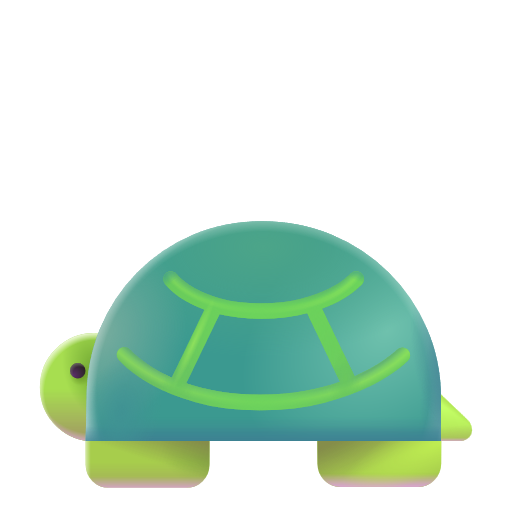 Tortue Tortue