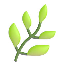 जड़ी-बूटी