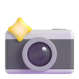 Camera with Flash Camera with Flash