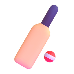 Cricket Game Cricket Game
