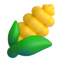 玉米