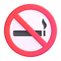 No Smoking No Smoking