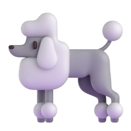 贵宾犬