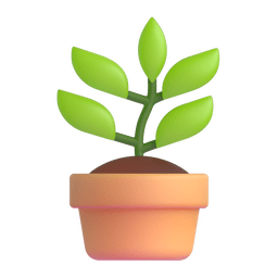 盆栽植物