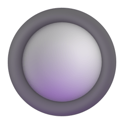 Radio Button Radio Button