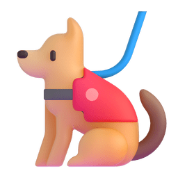 服务犬