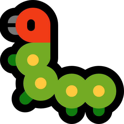 Insect