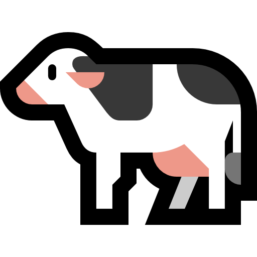 Koe