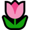 Tulp