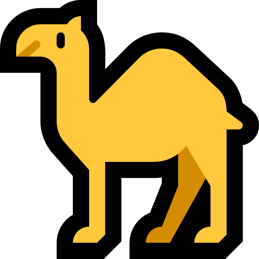 Dromedario