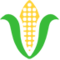 Кукурудзяний качан