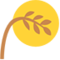 Свято Місяця