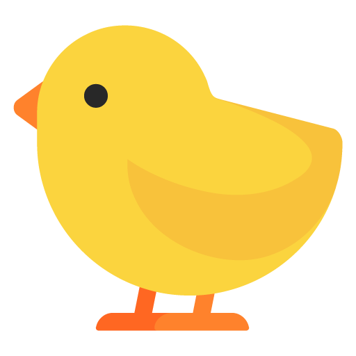 Pollito