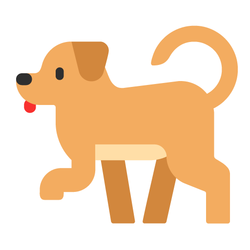 Perro