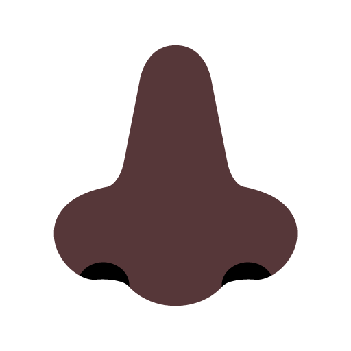 Hidung: Warna Kulit Gelap