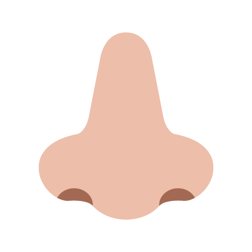 Hidung: Warna Kulit Cerah-Sedang
