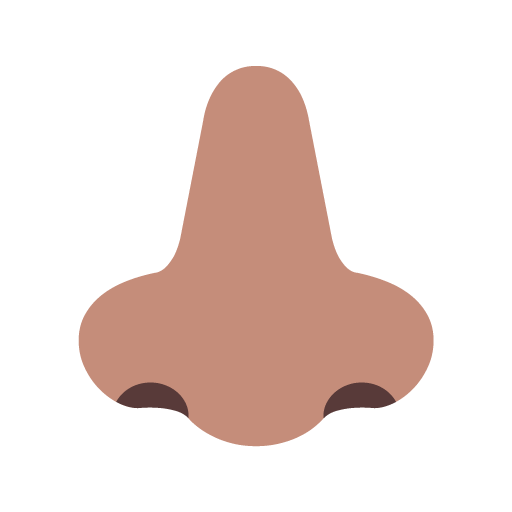 Hidung: Warna Kulit Sedang