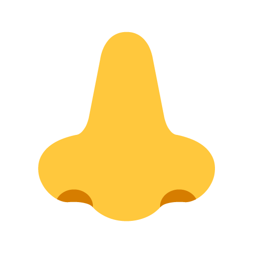 Hidung