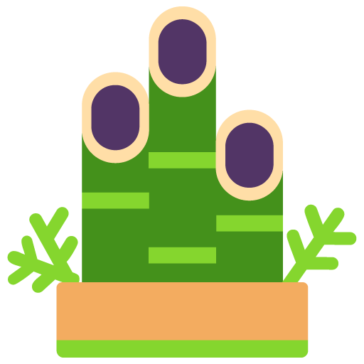 Decoración De Pino