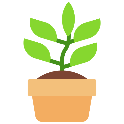 Planta De Maceta