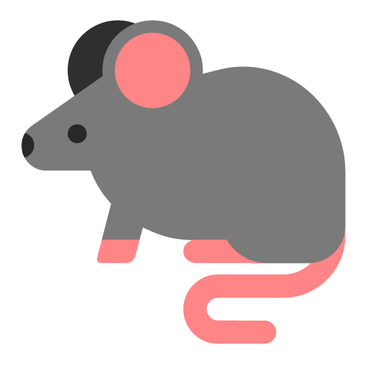 Rata