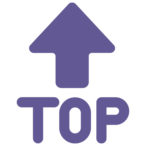 Flecha Top