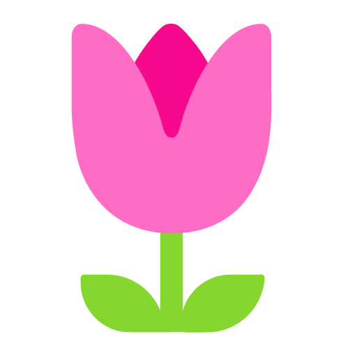 Tulipán