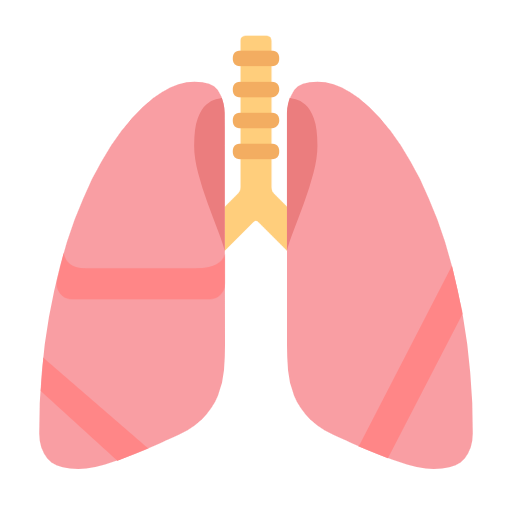 Легені для Microsoft Windows 11 23H2 June 2024 Update