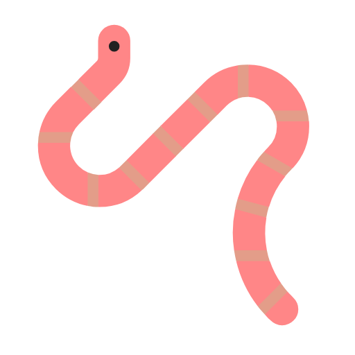 دودة