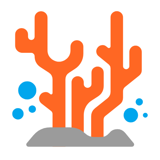 第珊瑚号为第Microsoft Windows 11 24H2 August 2025 Update号