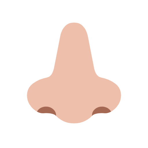 Nariz: Pele Morena Clara para Microsoft Windows 11 24H2 August 2025 Update