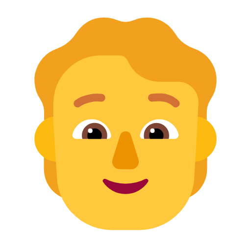 Person for Microsoft Windows 11 24H2 August 2025 Update