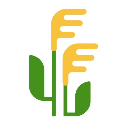 Колос для Microsoft Windows 11 24H2 August 2025 Update