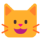 Морда кошки Морда кошки