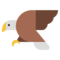 Орел Орел