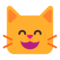 Довольный смеющийся кот