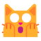 Кот в шоке