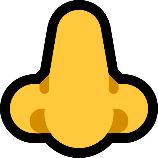 Ніс