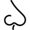 Ніс