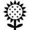 Соняшник