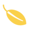 עלי שלכת