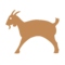 עז