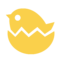 אפרוח בוקע