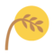 טקס צפייה בירח