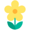 Bloesem