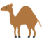 Dromedaris